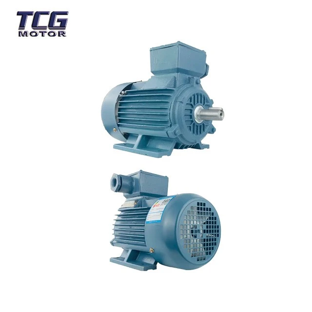 anti explosion electric motor