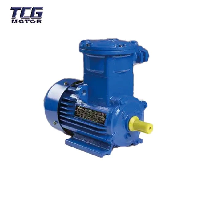 explosion proof electric motor